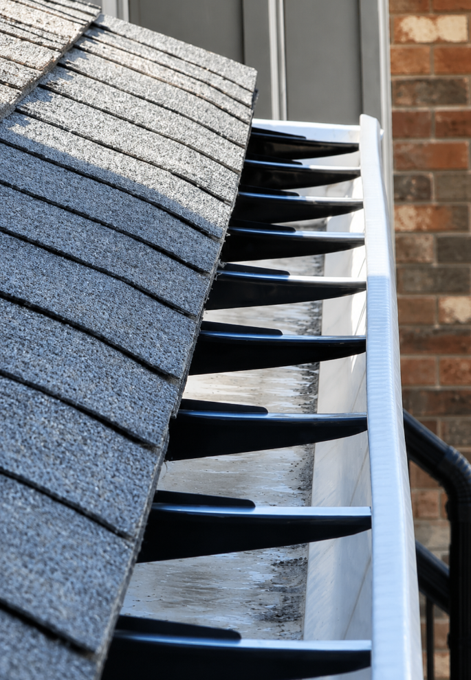 Gutter Cleaning